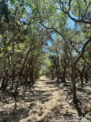 277 Gallagher, Canyon Lake, TX 78133 - Image #3