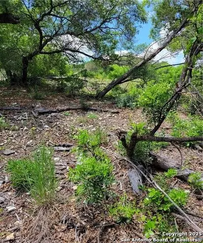 1745 Tbd Private Road, Mico, TX 78056 - Image #3