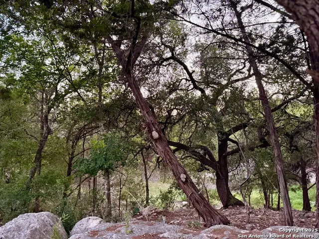 1059 Summit, Canyon Lake, TX 78133 - #2