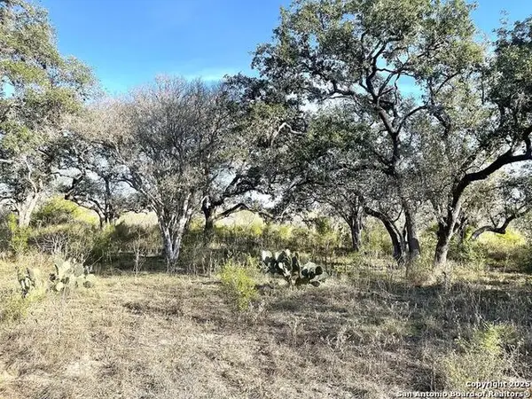 9654 Fm 2617, Pettus,  78146
