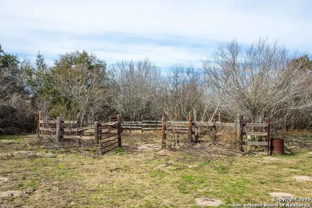 8684 Mineral Cemetery Rd, Pettus Pawnee, TX 78102 - #3