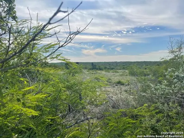 197 Live Oak Spur, George West,  78022