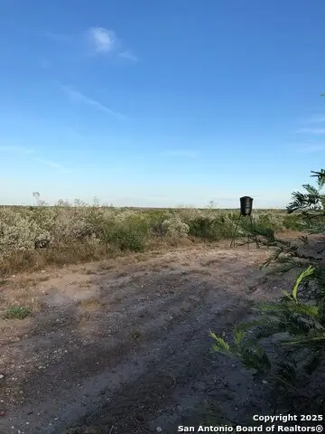 197 Live Oak Spur, George West, TX 78022 - #3
