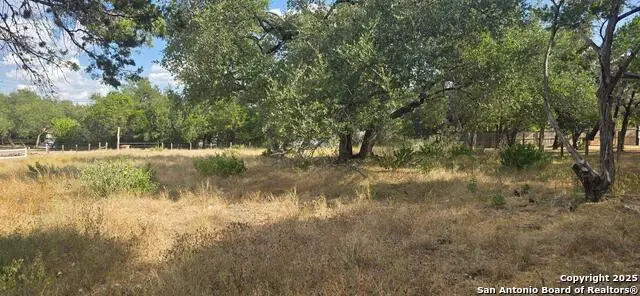 425 Lighthouse, Canyon Lake, TX 78133 - #1