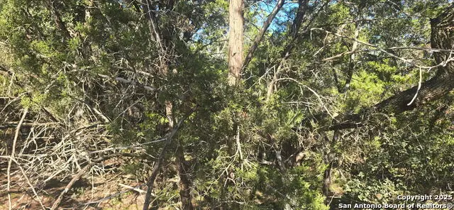 716 Line Camp Rd, Spring Branch, TX 78070 - #3