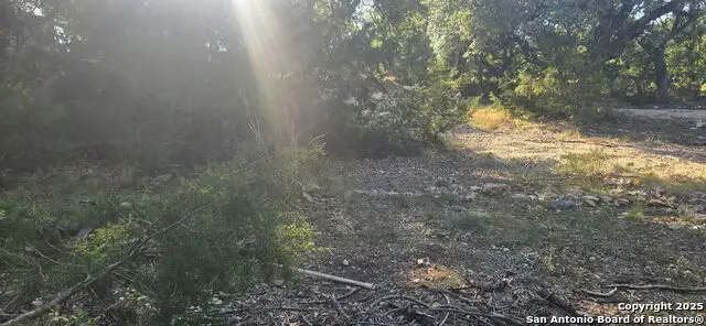 1327 Hedgestone, Canyon Lake, TX 78133 - #2