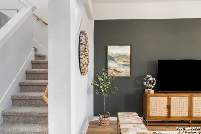 409 Salamander St, San Marcos, TX 78666 - Image #3