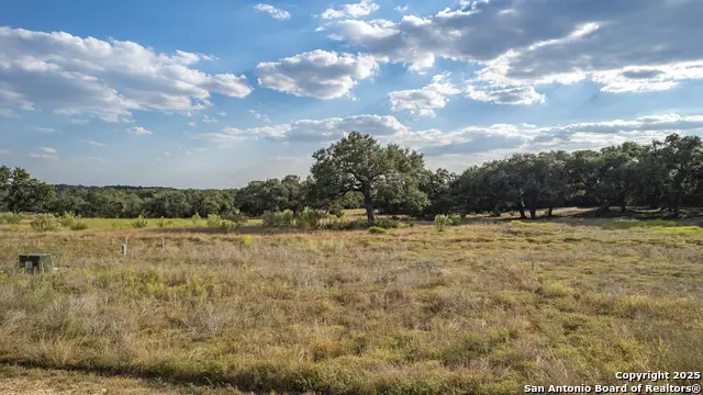 781 Annabelle, Bulverde, TX 78163 - Image #3