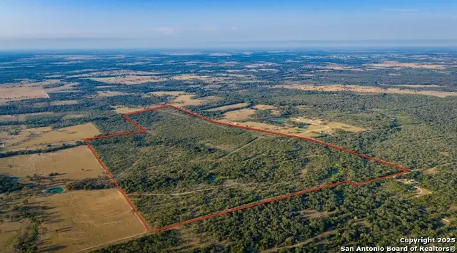 916 County Road 421, Waelder, TX 78959 - #1