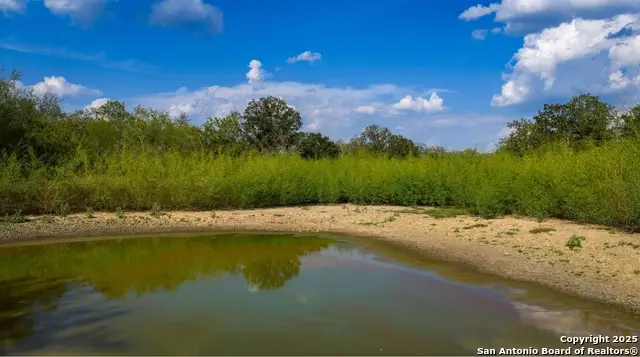 916 County Road 421, Waelder, TX 78959 - #3