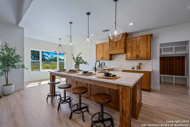 156 Firewheel Loop, Floresville, TX 78114 - Image #3