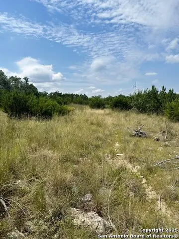 TBD LOT 1 Soaring Eagle, Fischer, TX 78623 - #3