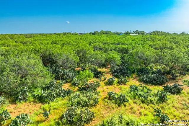 3911 County Road 1000, Pearsall, TX 78061 - Image #3