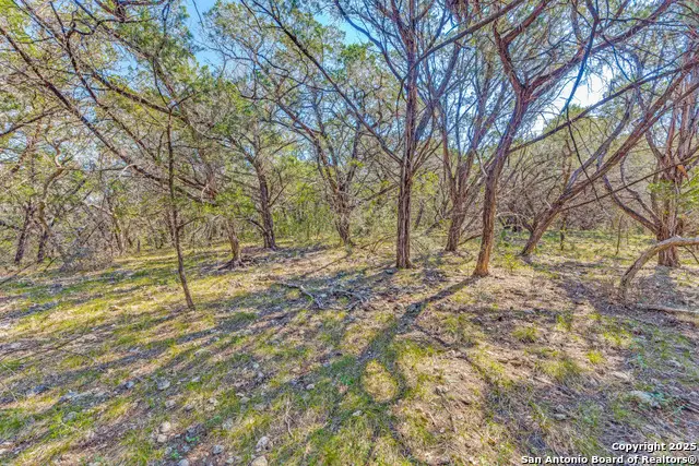 374 Private Road 1742, Mico, TX 78056 - Image #2