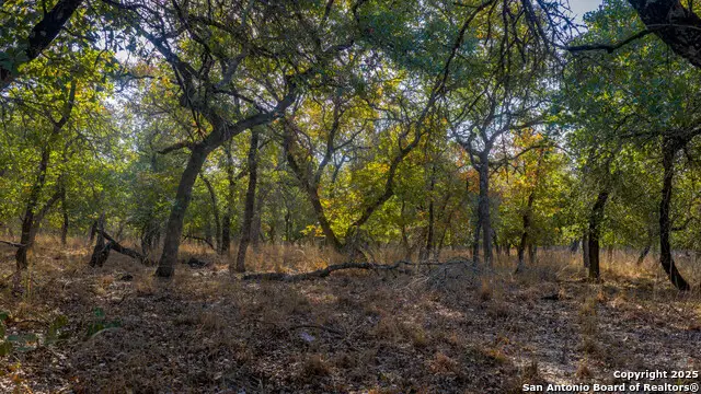 LOT 17 & 18 Sandstone Lane, Seguin, TX 78155 - #3