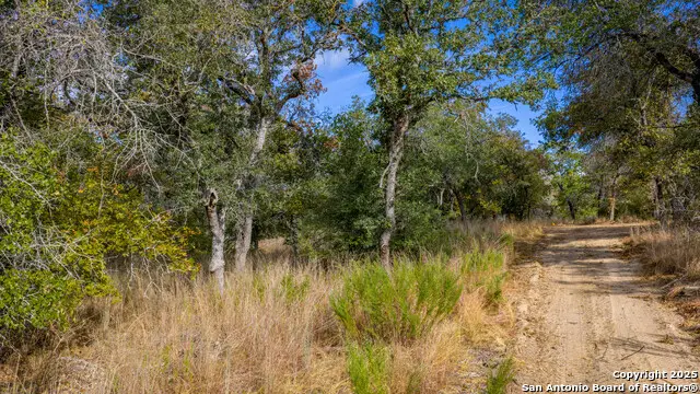14 Sandstone Lane, Seguin, TX 78155 - #1