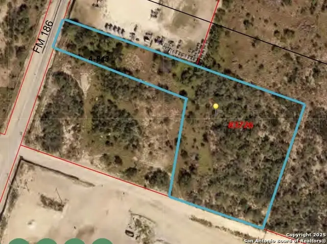 TBD Fm 186, Carrizo Springs, TX 78834 - Image #2