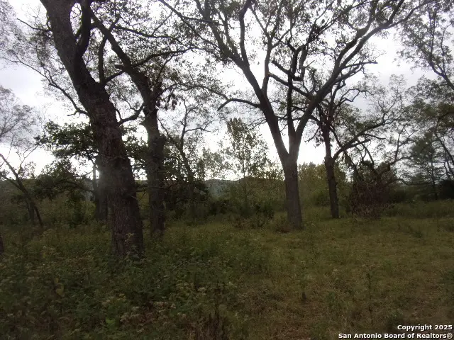 2942 Fm 336, Leakey, TX 78873 - Image #2