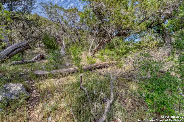 TBD N Us Highway 83, Leakey, TX 78873 - Image #2