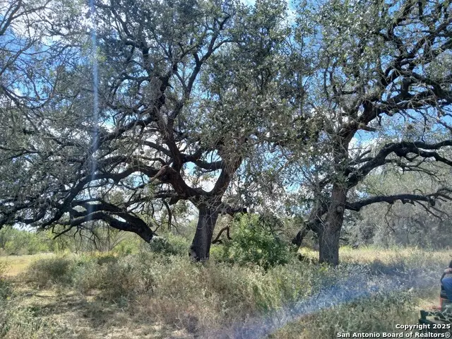 4415 State Highway 173, Bigfoot, TX 78005 - Image #3