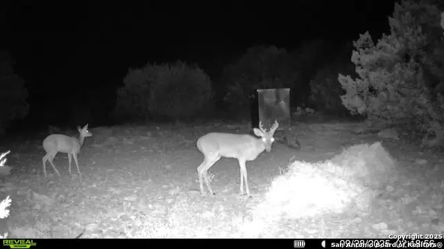 TBD Sd 45453, Rocksprings, TX 78880 - Image #2