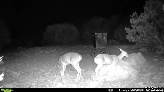 TBD Sd 45453, Rocksprings, TX 78880 - Image #3