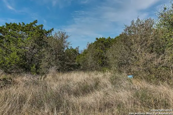 LOT 229 Cr 2748, Mico, TX 78056
