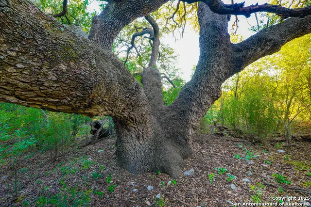 1134 Sd # 45400, Rocksprings, TX 78880 - Image #2