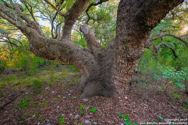 1134 Sd # 45400, Rocksprings, TX 78880 - Image #3