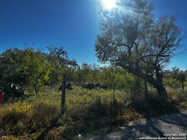 TBD County Road 777, Devine, TX 78016 - Image #3