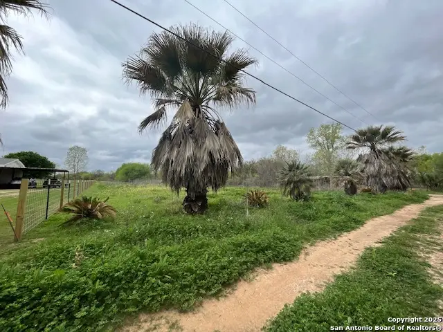 TBD Pr 6736, Devine, TX 78016 - Image #3