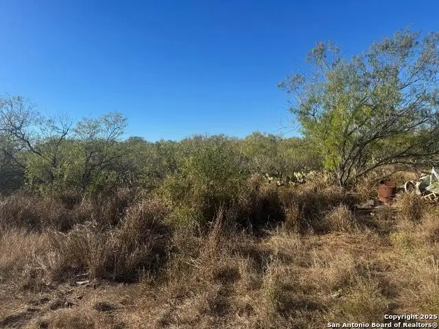 LOTS 2453-2455 Ave. J, Christine, TX 78012 - Image #3