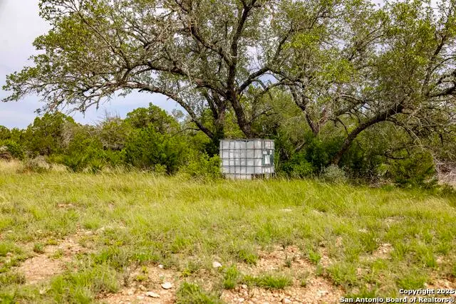 LOT 1 Hwy 377, Rocksprings, TX 78880 - Image #2