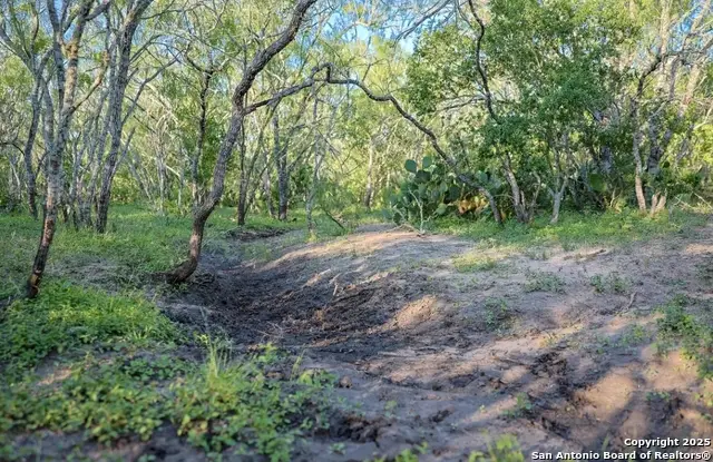 000 County Line Rd # 120, Beeville, TX 78102 - Image #1