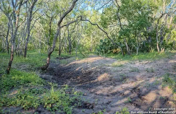 000 County Line Rd # 120, Beeville, TX 78102