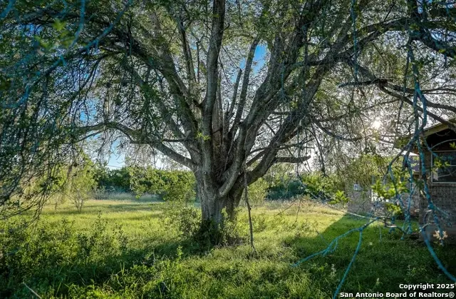 000 County Line Rd # 120, Beeville, TX 78102 - Image #3