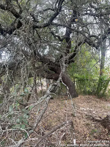 749 & 743 Canyon Circle, Canyon Lake, TX 78133 - Image #1