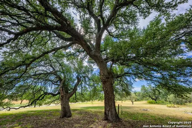 6754 North Grape Creek Rd, Fredericksburg, TX 78624 - Image #3