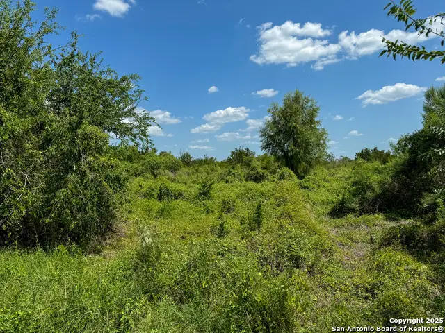000 Deer Run Trace, Three Rivers, TX 78071 - Image #1