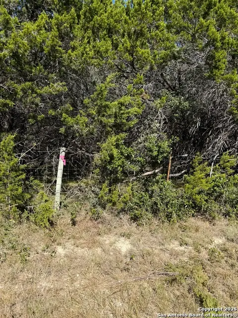 (LT) 396 Forest Trail Drive, Bandera, TX 78003 - Image #2