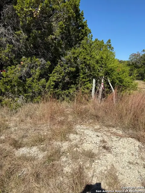 (LT) 396 Forest Trail Drive, Bandera, TX 78003 - Image #3