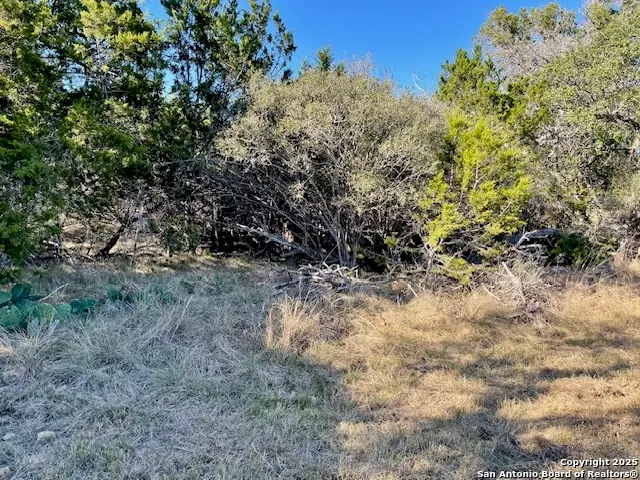 LOT 85 Pr 1518, Bandera, TX 78003 - Image #3