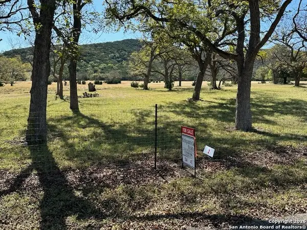 1543 Walter White Ranch Road, Leakey, TX 78873