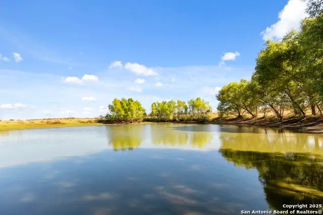 1299 County Road 450, Stockdale, TX 78160 - Image #1