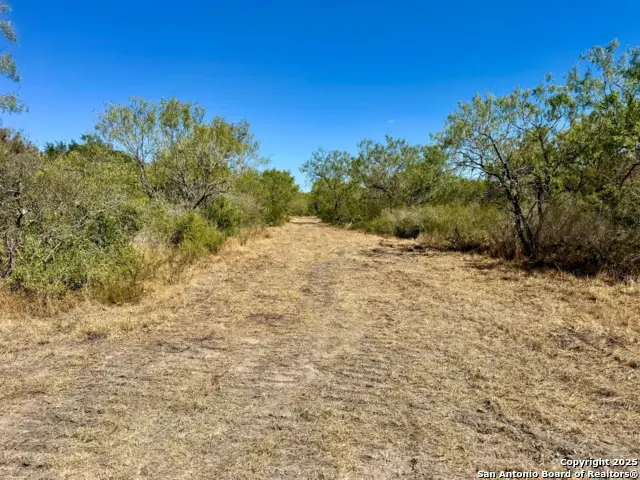 0 County Road 215, McCoy, TX 78113 - Image #1