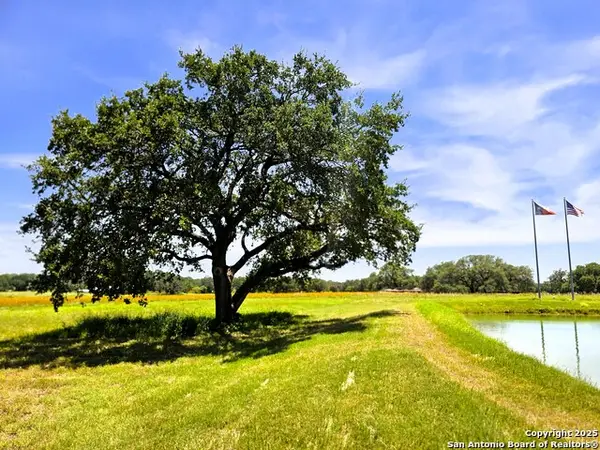 803 County Road 6612, Devine, TX 78016