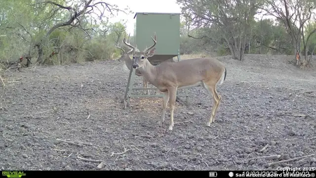 0 E Fm 791, Campbellton, TX 78008 - Image #3