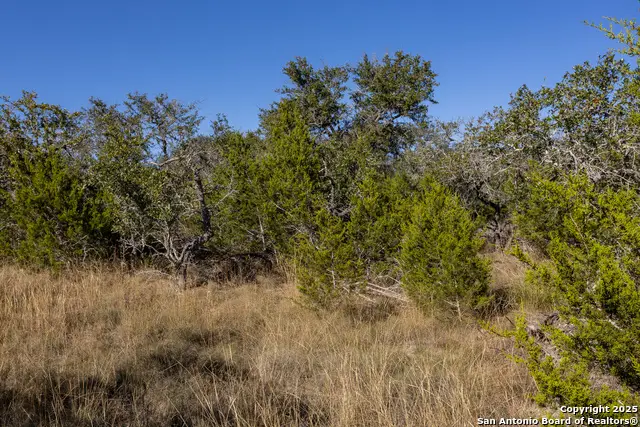 BLOCK 1, LOT 10 Fortunate Son, Boerne, TX 78006 - Image #3