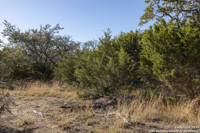 BLOCK 1, LOT 12 Standing Tall, Boerne, TX 78006 - Image #2