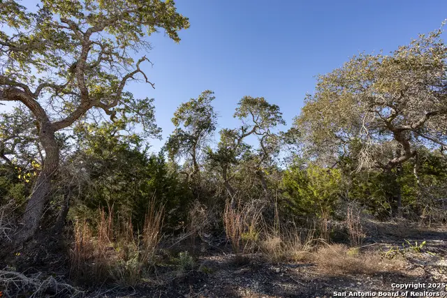 BLOCK 1, LOT 12 Standing Tall, Boerne, TX 78006 - Image #3